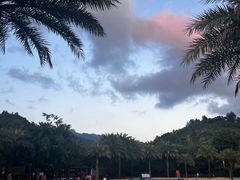 -腾冲洞山温泉村