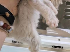 -平行世界·猫咖(首经贸店)