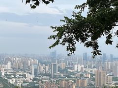 -大蜀山国家森林公园