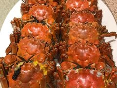 -桃源春晓中餐厅 TaoYuan Restaurant