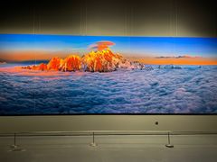 -罗红摄影艺术馆