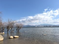 -洱海月湿地公园