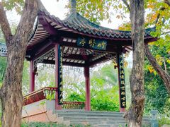 -四海公园(南山区)