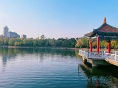 -长春市南湖公园