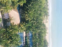 -三亚湾海居铂尔曼度假酒店