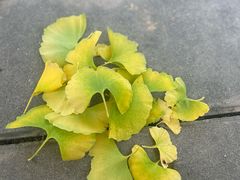-汉景帝阳陵博物院