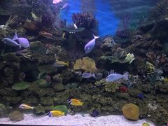 -常州海昌海洋探索馆