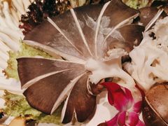 -南门四季铜锅涮肉(大屯·北苑店)