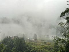 -鹿院坪生态旅游景区