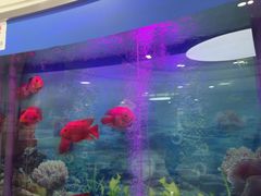 -雅悦齿科(顾村公园店)