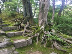 -常寂光寺