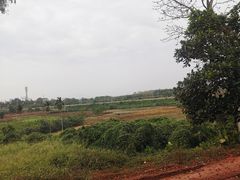 -侯臣咖啡文化村