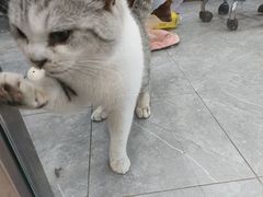 -宠福鑫康馨动物医院·骨科·眼科