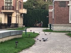 -天津津利华酒店