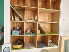 -猫在这儿猫咪咖啡馆·撸猫馆