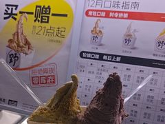 -野人先生现做冰淇淋(北京环宇荟店)