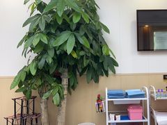-郑远元·修脚·足道(华茂苑店)