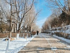 -青藏高原野生动物园