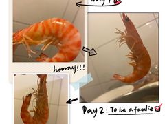-凯华海鲜火锅·传承三十六年