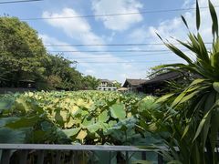 -莫催咖啡