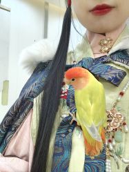 -Moni星球萌宠·小马宝莉·灵蛇·高端高阶全萌宠互动体验俱乐部(红豆国际广场店)