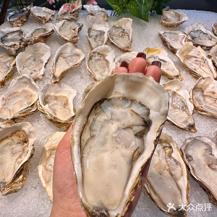 哈尔滨的…谁懂这一餐的含金量啊！！