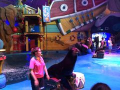 -烟台海昌鲸鲨海洋公园