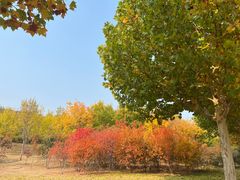 -北京西山国家森林公园