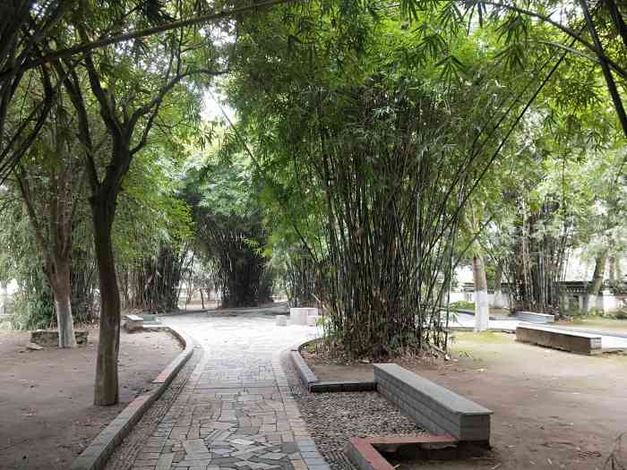 人民公园-"人民公园是抚州市中心一个大公园,里面非常.