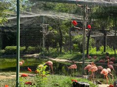 -石家庄市动物园