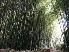 -竹泉村旅游度假区