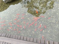 -耕渔小院·湖南鱼鲜(望城店)