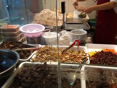 -红星兔丁(东风大桥店)