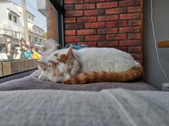 -B.O.M波姆烘焙(凤凰街店)