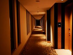 -上海崇明金茂凯悦酒店