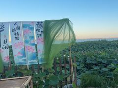 -七的湖·晚芳亭·阳澄湖农家菜·大闸蟹(莲花岛店)