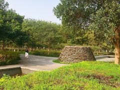 -白塘生态植物园