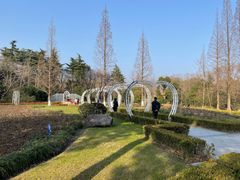 -昆山城市生态森林公园