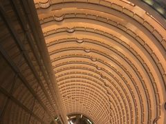 -上海金茂大厦88层观光厅