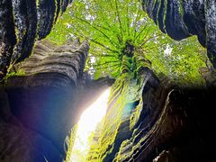 -梭布垭石林景区