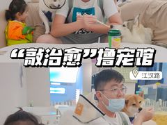 -怪兽屋·羊驼·猫咖·狗咖(俊华广场店)