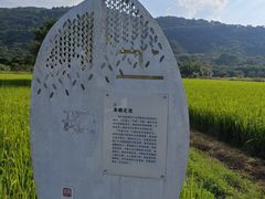-艾米稻香小镇
