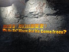 -国家自然博物馆