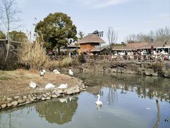 -上海野生动物园