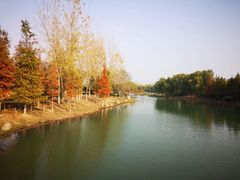 -滨湖塘西河公园