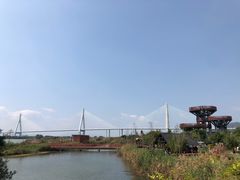 -芒洲湿地公园
