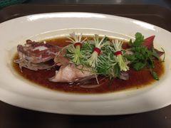 清蒸东星斑-新花城蟹粉馆(乌鲁木齐店)