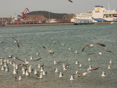 -海驴岛(荣成市)