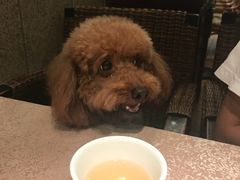 -湘村人家(常平中元街店)