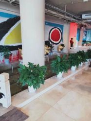 -沈阳市妇婴医院